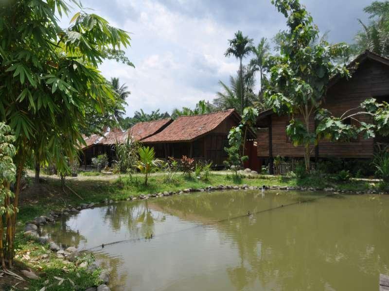 The Pikas Resort Wonosobo Exterior photo