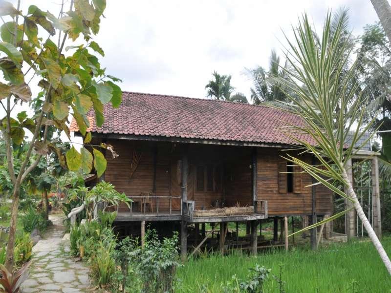 The Pikas Resort Wonosobo Exterior photo